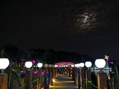-大塘金香草谷