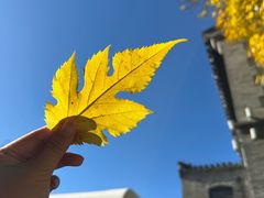 -天兴居(鲜鱼口街店)