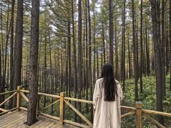 -驼梁风景区