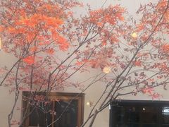 -南园民国茶楼餐厅·常州菜(北大街店)