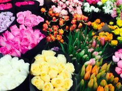 -双季花艺园艺市场(浦东店)