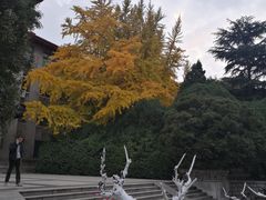 -山东大学(趵突泉校区)