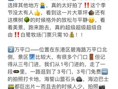 -巧克力渔家.小船海鲜家常菜(万平口店)