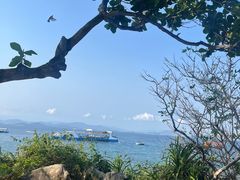 -三亚蜈支洲岛旅游区