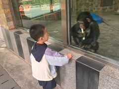 -成都动物园
