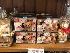 -伊豆泰迪熊博物馆