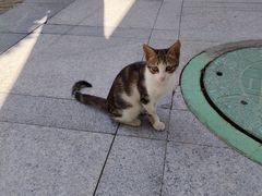 -厦门国家会计学院