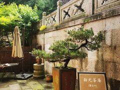 -韬光茶庵