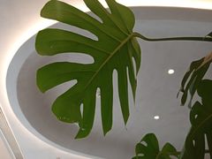 -fishtank鱼缸咖啡(三山街店)