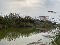-白鹭湾湿地公园