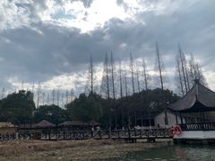 -沙家浜风景区