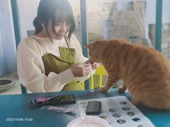 -喵屿·大理花园猫咖