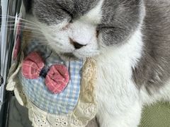-南京国际贸易中心