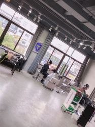 -蚂蚁造型沙龙