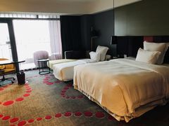 -南京禄口机场雅高铂尔曼大酒店