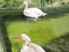 -灵玲国际马戏城