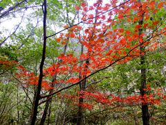 -大连天门山国家森林公园