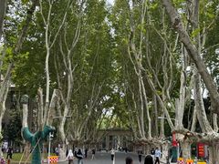-东南大学(四牌楼校区)