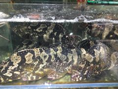-四道口水产市场