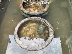 -句容茅山景区