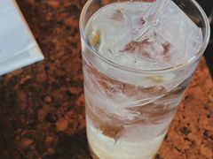 -毛辣果·酸(OHA复兴西路店)