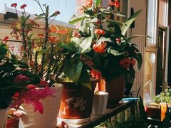 -北京龙庆四季香农家饭庄·灶台鱼·碳烤虹鳟鱼(龙庆峡店)