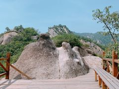 -大岭沟猕猴桃谷风景区