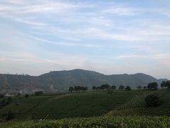 -帐篷客·溪龙茶谷度假酒店