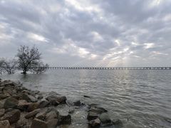 -宝安西湾红树林湿地公园