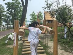 -金鸡湖桃花岛