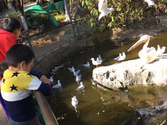 -昆明动物园