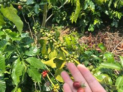 -后谷咖啡(建设巷店)