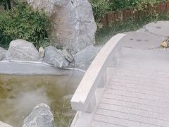 -蘇河湾·新鲁菜·泰山宴(泰山店)