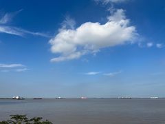 -上海滨江森林公园