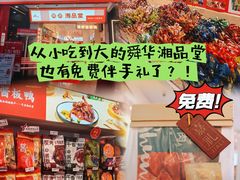 -舜华临武鸭·湖南零食特产(三王街店)