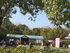 -上海海湾国家森林公园