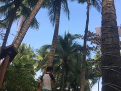 -三亚珠江南田温泉度假区