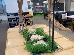 -FAIRYLAND龙族星球主题餐厅(凯丹广场店)