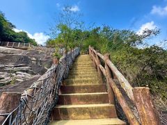 -广州白江湖森林公园