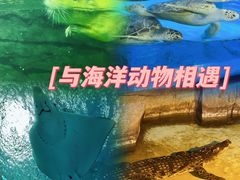 -泉城欧乐堡海洋极地世界