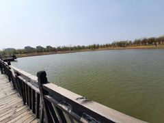 -武清南湖绿博园