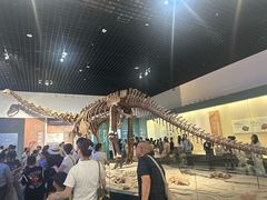 -衢州市博物馆