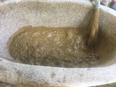 -100蛋泥浆浴