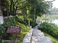 -重庆彩云湖湿地公园