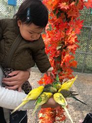 -萌宠亲子动物乐园(槐房万达店)