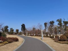 -九科绿洲