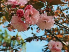 -洨河生态公园