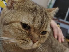 -万小咖.猫咖(中山路天虹店)