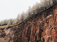 -塞罕坝国家级自然保护区