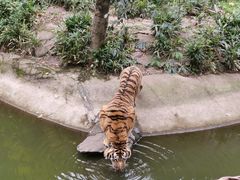 -杭州动物园